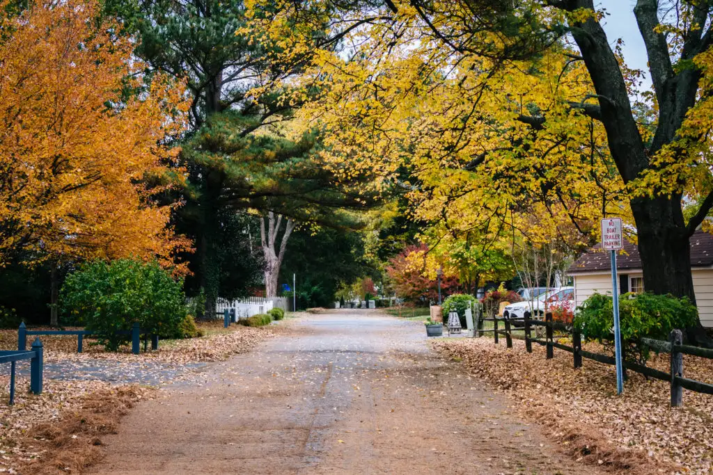 Street lined with fall foliage in Eastern Shore, Maryland