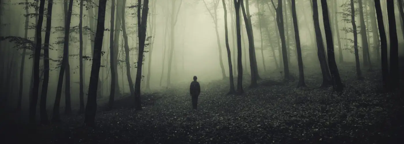 Dark and misty forest with a small silhouette in the center
