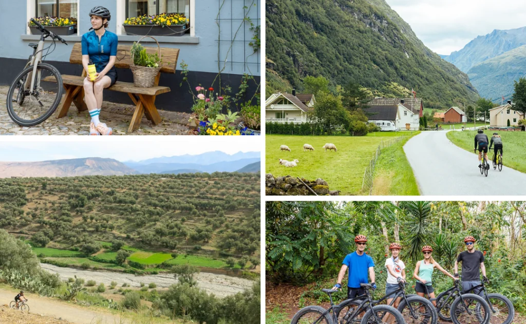 Best Biking Tours Group Travel: DuVine Cycling