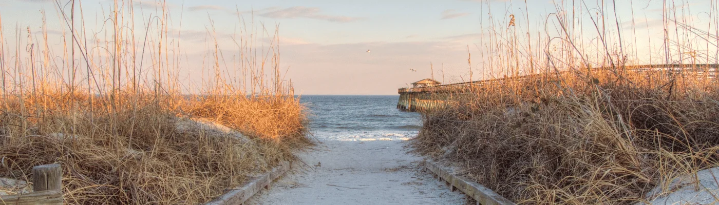 Atlantic Ocean Background. Boardwalk through dune grass to the Atlantic Ocean with a pier in the background. Myrtle Beach, South Carolina.