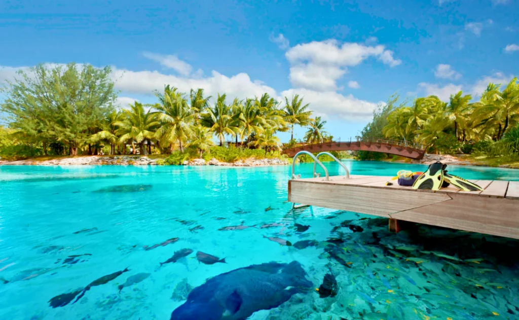 The Lagoonarium - pool features a protected underwater sanctuary