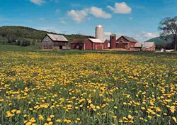Top Five Off-Peak Destinations for Spring 2011
